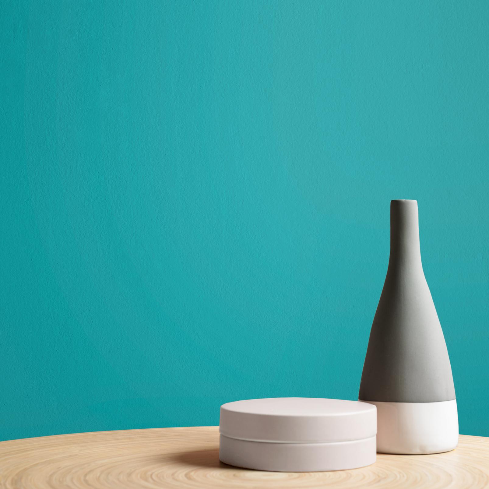 Lifeguard Paint - 110086_DETAIL_LIFEGUARD_01.jpg