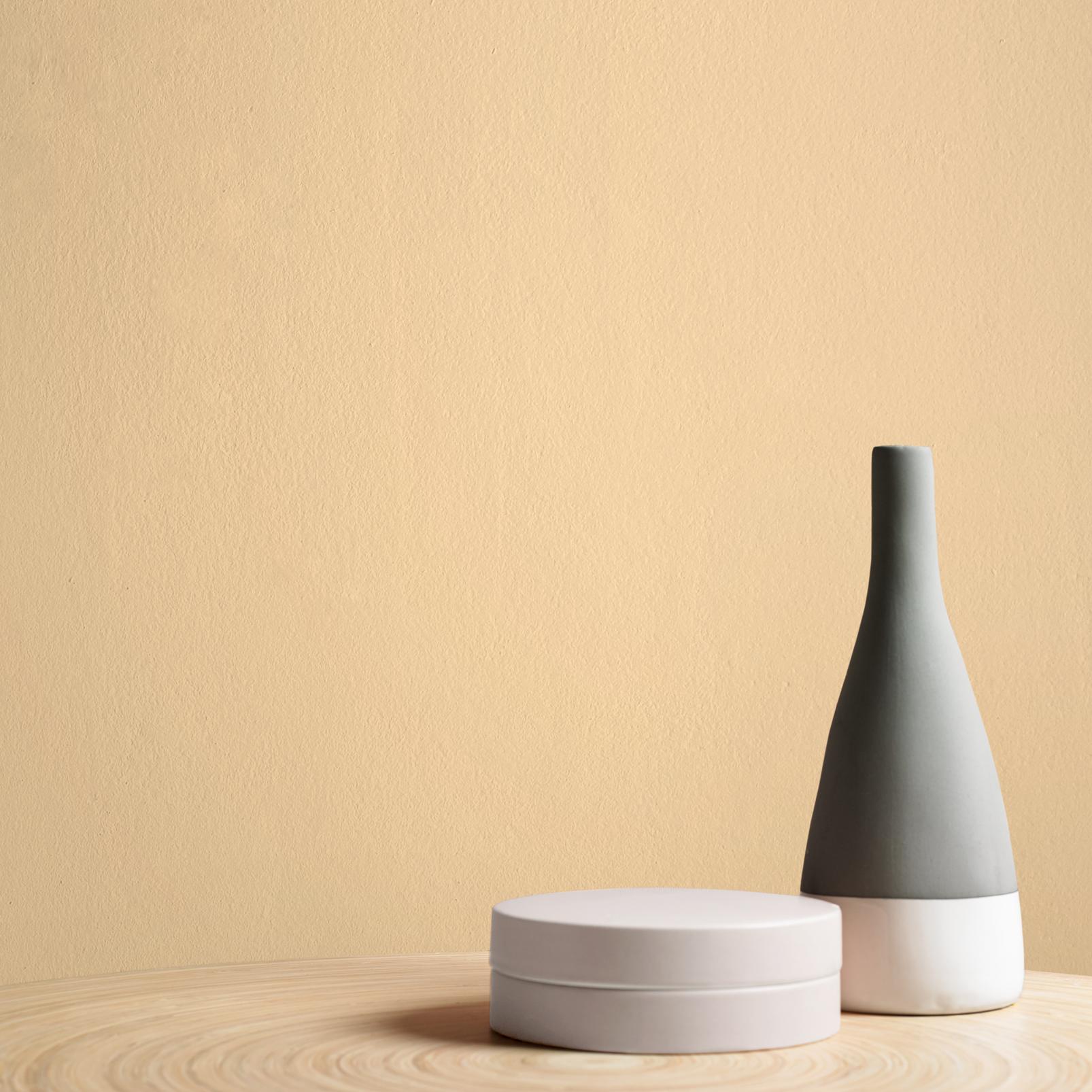 Earthen Paint - 109543_DETAIL_EARTHEN_01.jpg