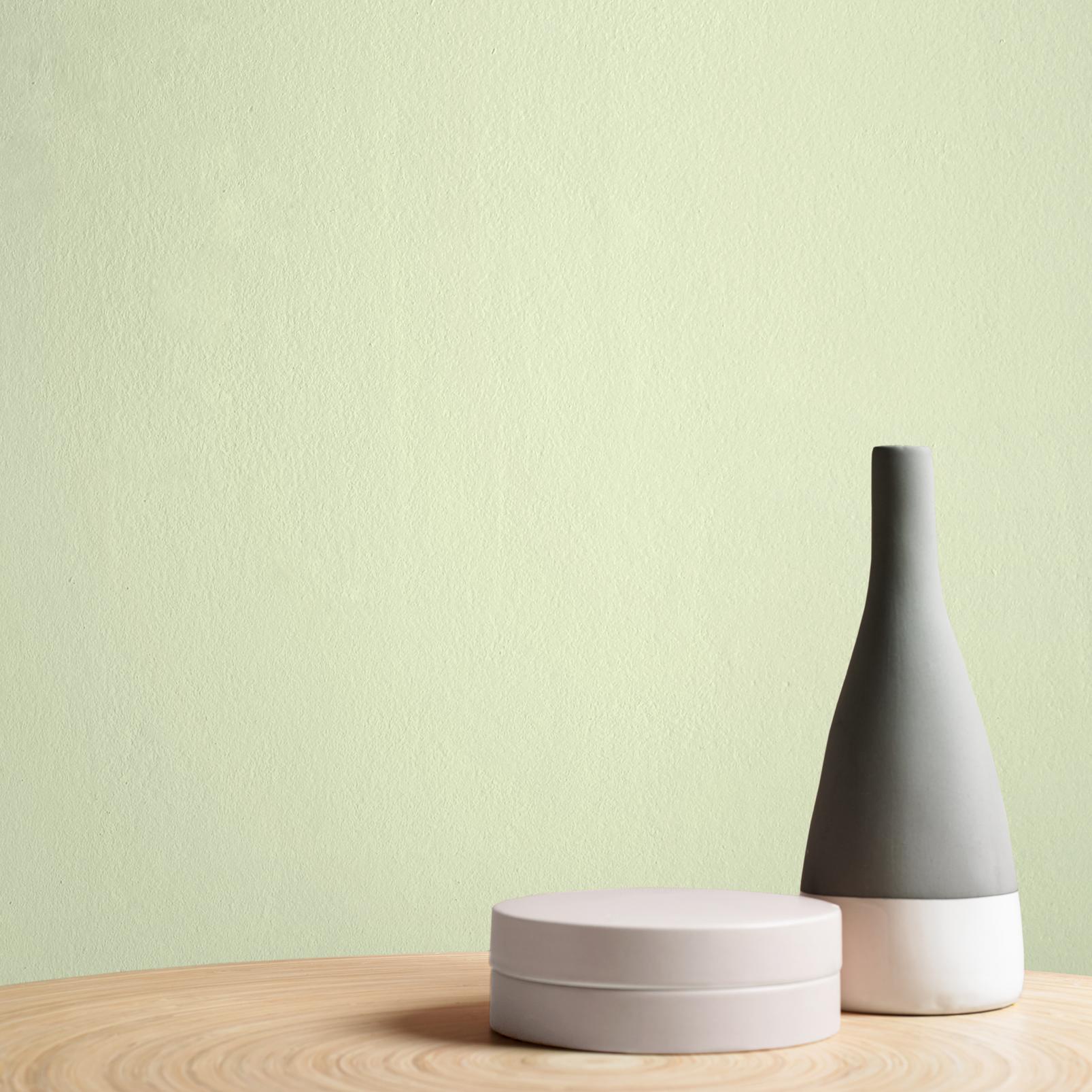 After Dinner Mint Paint - 108735_DETAIL_AFTER DINNER MINT_01.jpg