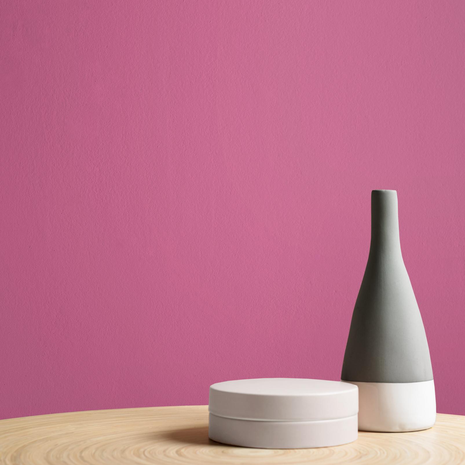 Lille Pink Paint - 110106_DETAIL_LILLE PINK_01.jpg