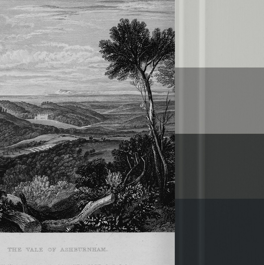 Turner The Vale of Ashburn Bespoke Mural - 119021_FLATLAY_01.jpg