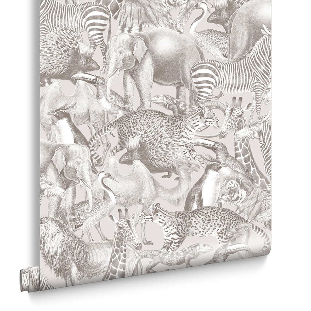 Kingdom Camel Wallpaper