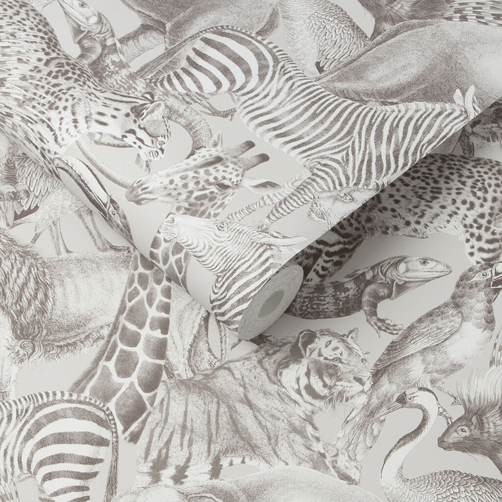 Kingdom Camel Wallpaper