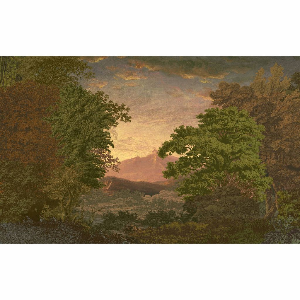 Sketch Forest Morning Bespoke Mural