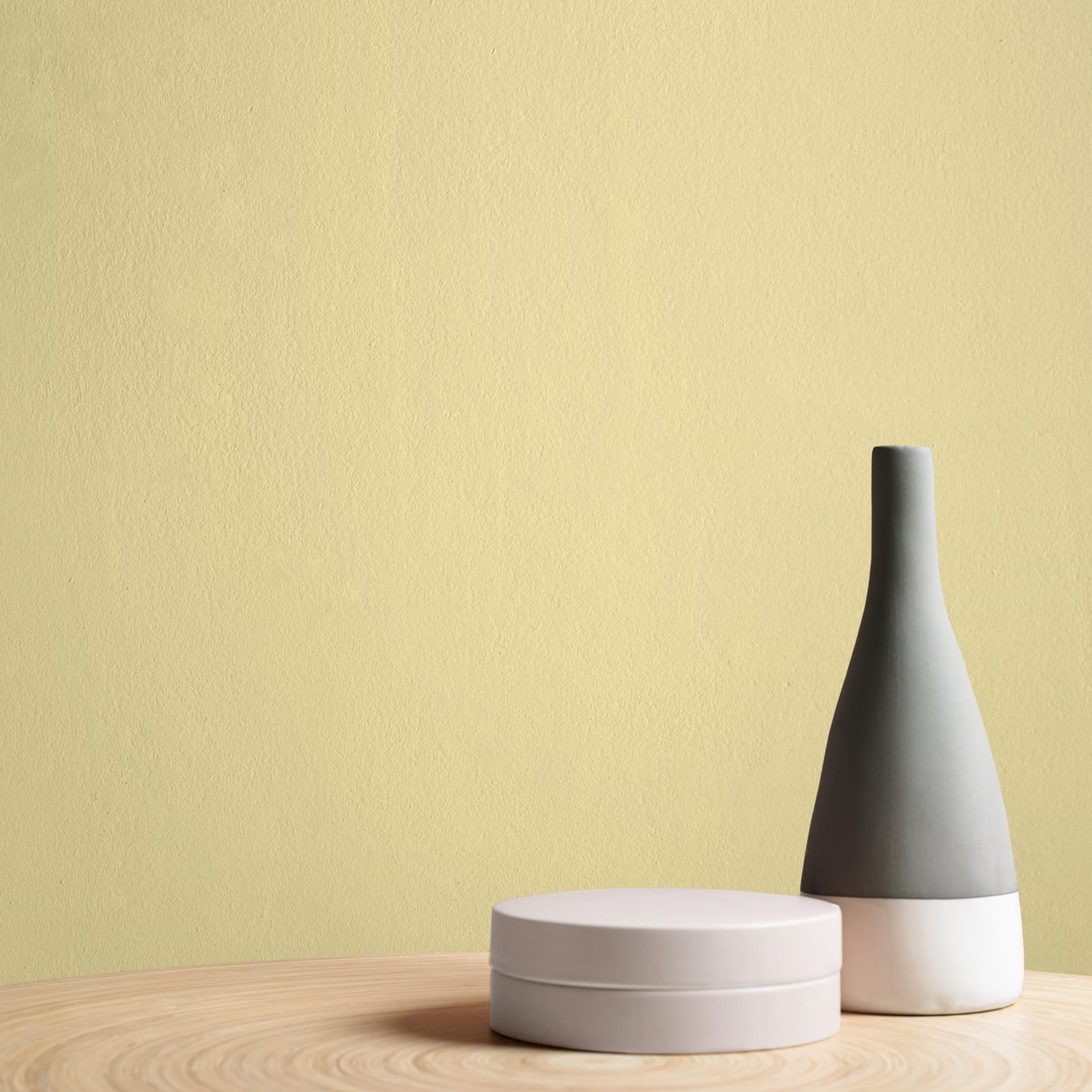 Chickadee Paint - 109260_DETAIL_CHICKADEE_01.jpg