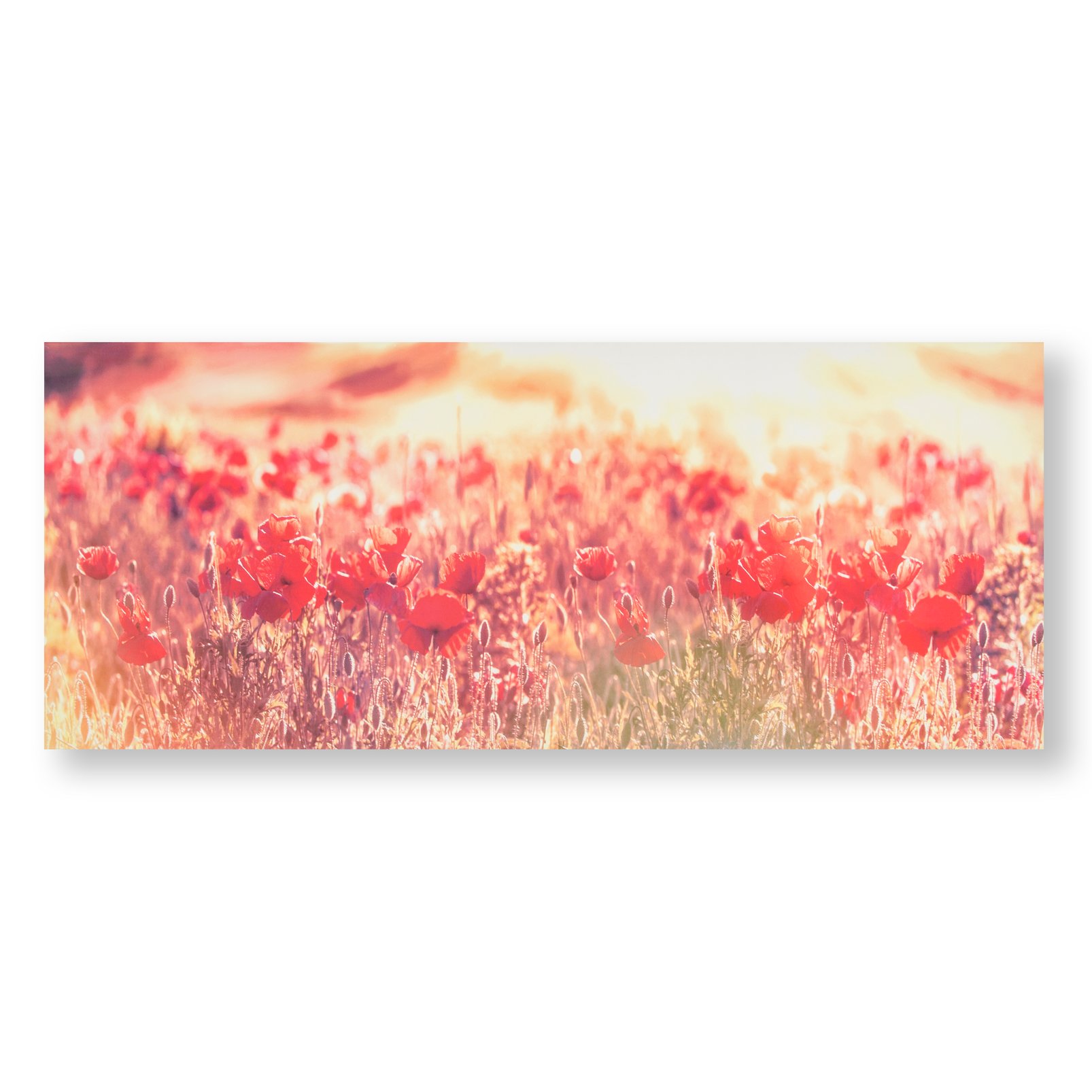 Peaceful Poppy Fields Printed Canvas Wall Art - 105886_FRONT_PEACEFUL POPPY FIELDS_01.jpg